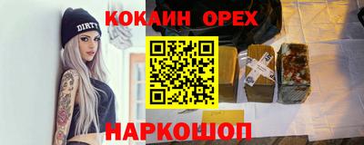 гидра Будённовск