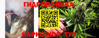 гидра Будённовск