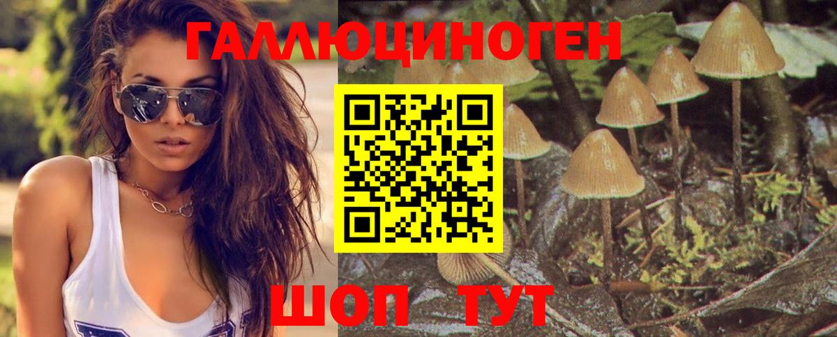 Псилоцибиновые грибы мицелий  Вход с VPN  Псилоцибиновые грибы GOLDEN TEACHER  Серов 
