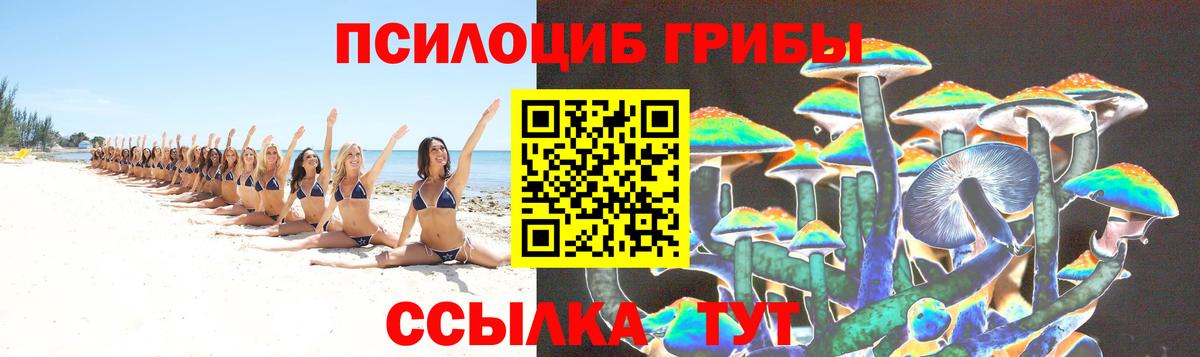 Псилоцибиновые грибы Psilocybine cubensis Серов