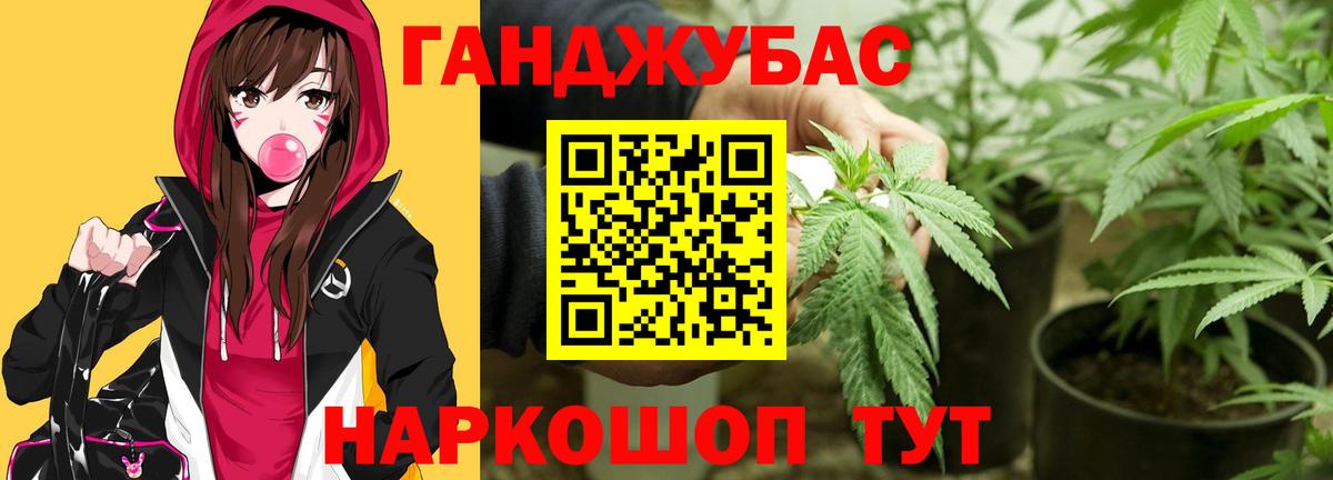 Каннабис планчик  Вход с VPN  Серов  Бошки марихуана VHQ 